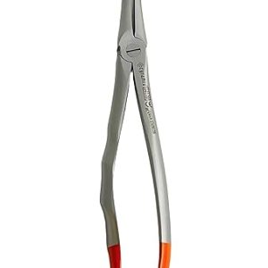 Root Forceps
