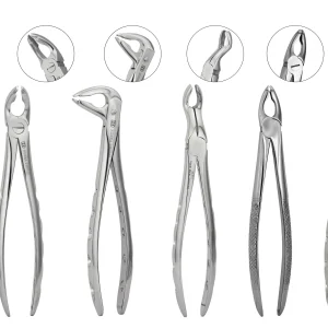 Specialized Forceps (Upper, Lower, Premolar & Molars)