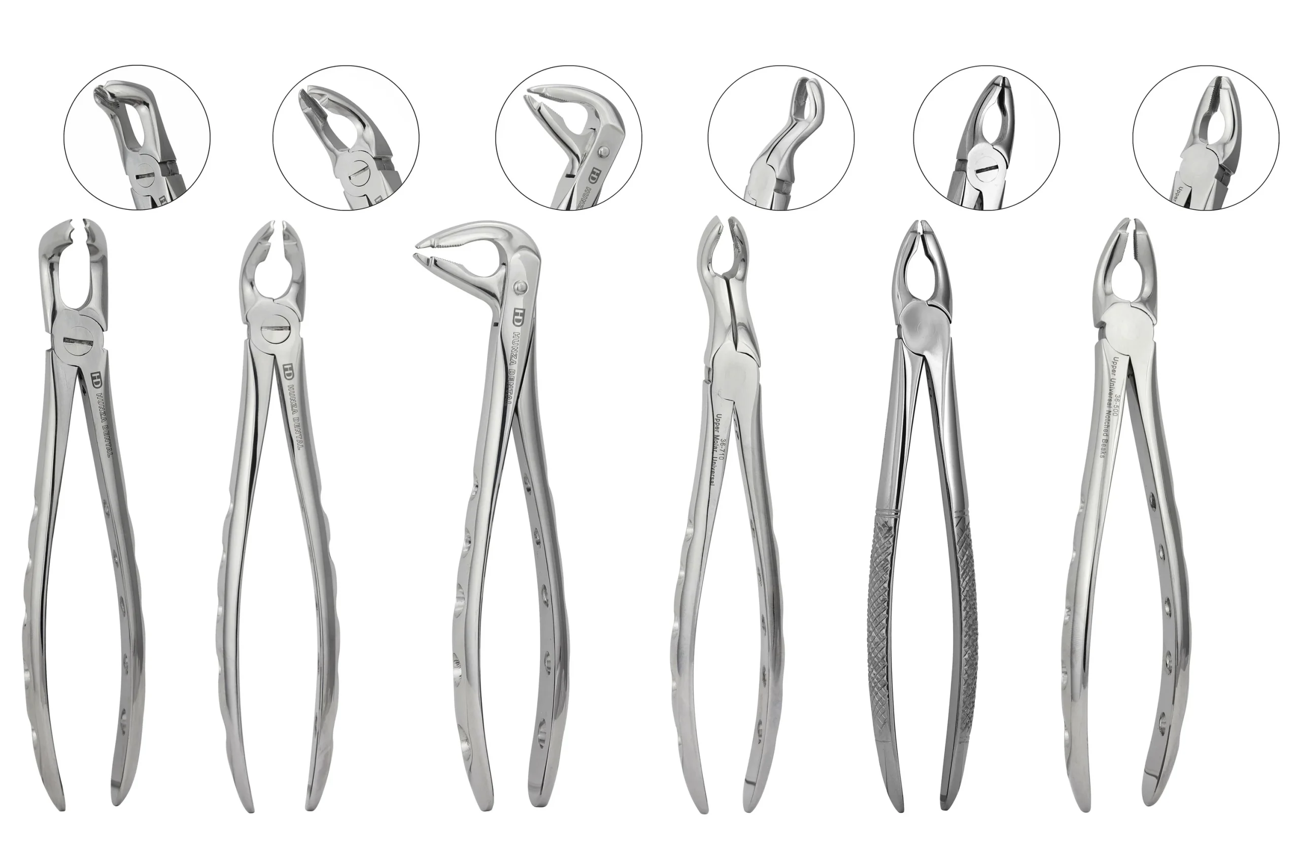 Specialized Forceps (Upper, Lower, Premolar & Molars)